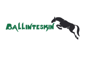 IBC Supporter - Ballinteskin