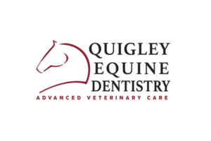 IBC Supporter - Quigley Equine Dentistry